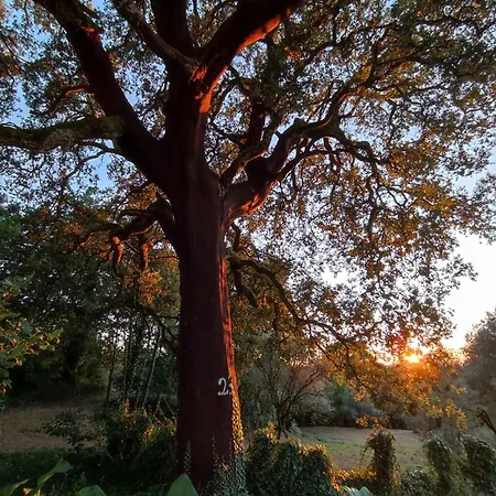 Feriehus Casa Barroca *