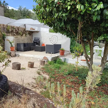 Casa Barroca * Figueiro Dos Vinhos