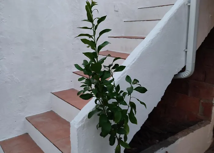 別荘 Casa Barroca *